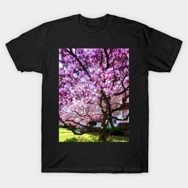 Spring - Magnificant Magnolia T-Shirt by SusanSavad